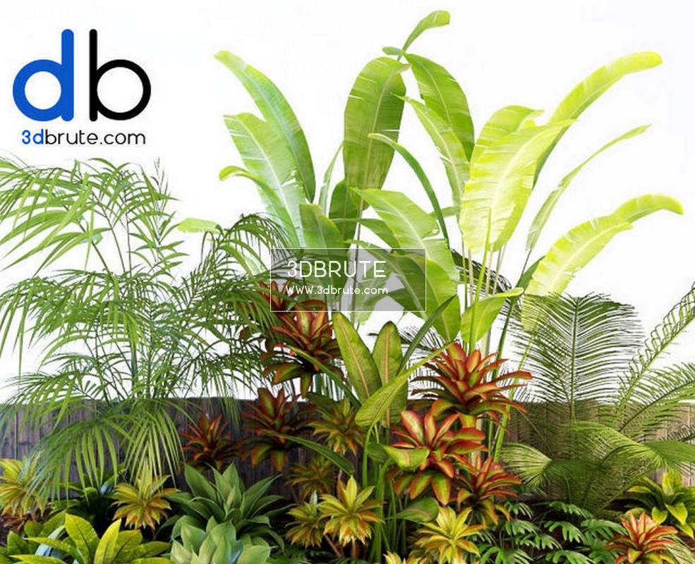 Tropical Plants 3d Model Download Banana Trees And Shrubs 3dbrute