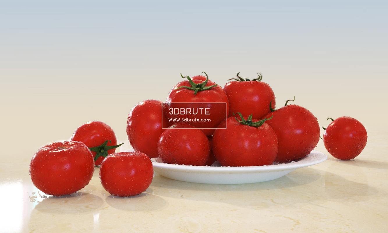 Featured image of post Tomato Plant 3D Model Free Download Available in any file format including fbx obj max 3ds c4d